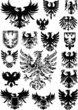 heraldry gryphons and eagles vector set