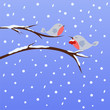 Vector: Winter birds Winter birds