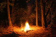 Fire burning at night in a forest glade