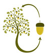 from seed to seed