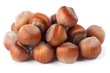 Some hazelnuts