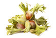 Four hazelnuts