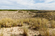 Dune de Lacanau Dune de Lacanau