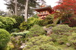 Japanese Tea Garden in San Francisco