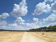 camino a la libertad en el horizonte