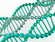gene in DNA gene in DNA