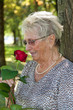Ältere Frau (Seniorin) riecht an einer roten Rose