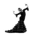 Flamenco dancer silhouette Flamenco dancer silhouette