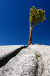 Yosemite