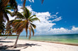 Holiday Paradise