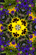 Flower kaleidoscope resembling a mandala