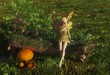 Fairy sitting on a mossy log Fairy sitting on a mossy log
