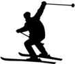 Skifahrer