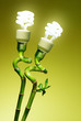 Conceptual lamps