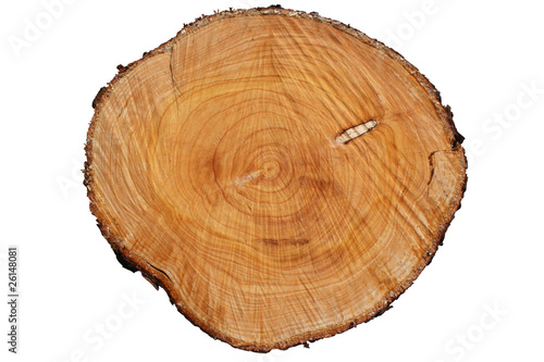 Photo : Tronc d'arbre - Chauffage au bois Tronc d'arbre - Chauffage au bois