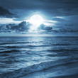 Moonlight