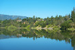 Forest reflected in tranquil lake