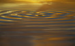 ripples in golden water