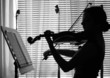 violinist plays violin