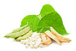 Fresh and dry kidney beans with leaves on white