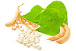 Kidney beans with leaves on white