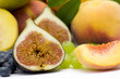 fresh fruits