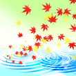 緑の中の紅葉