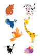 animals