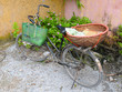 Old bicycle