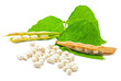 Kidney beans with leaves on white