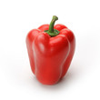 Red pepper Red pepper