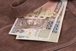 Money on bag