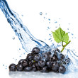 blue grape with water splash isolated on white