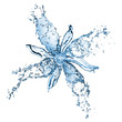 flower from water splashes isolated on white