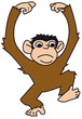 Affe
