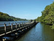 pont