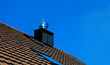 dach mit kamin