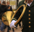 la trompe de chasse