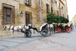 Cordoba, Andalucia, Spain. Horse and Carriage