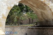 puente y rio