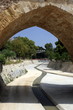 rio vinalopo