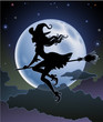 Silhouette of a Witch against the full moon