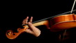 Musician playing violin isolated on black