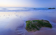 Beautiful view of beach at sunrise with rock details