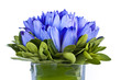 Bouquet de lotus bleus dans un vase