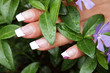French Manicure