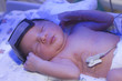 Newborn baby inside incubator