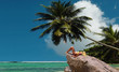 Photo: Tunning model on rock of palm tree paradise beach. Tunning model on rock of palm tree paradise beach.