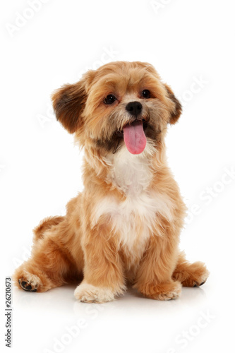 Photo: Mut Sitting Mut Sitting