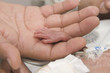 Photo: Newborn and hand Newborn and hand